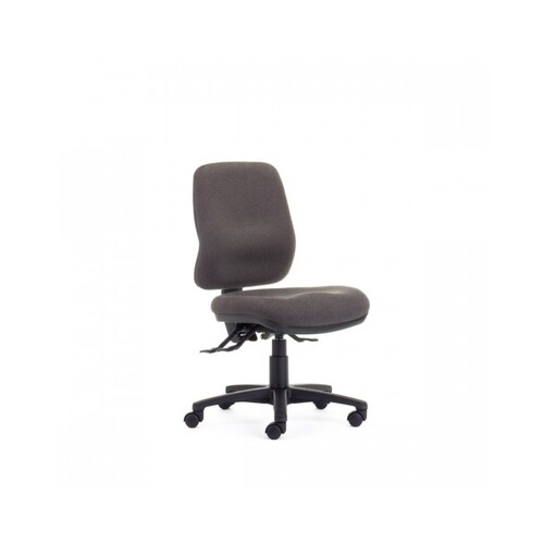 Bodyline task medium back